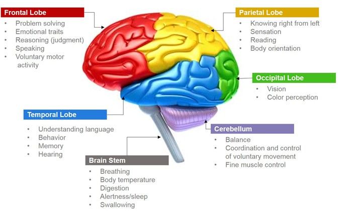 Railroad brain injury