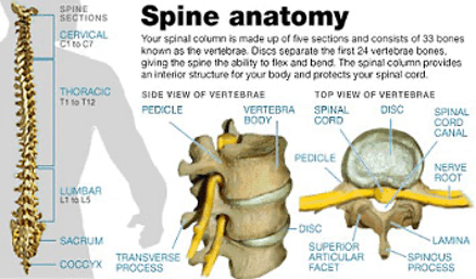 Railroad Spinal Injury